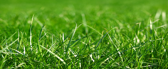 Farmersworld - Voorpag - Welkom banner  2