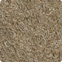 Farmersworld - Voorpag - Categorie 2