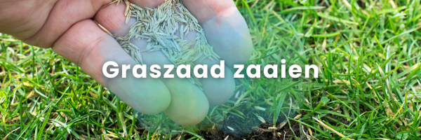 Handleiding graszaad zaaien
